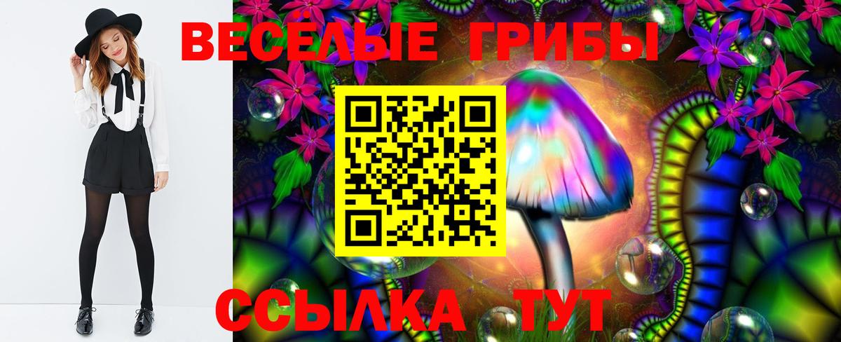Псилоцибиновые грибы ЛСД Сунжа