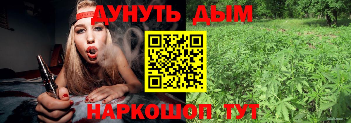 МАРИХУАНА OG Kush Сунжа